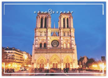 La décontamination du parvis de Notre-Dame de Paris va (enfin) débuter
